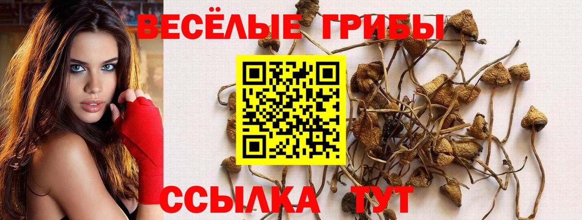 Галлюциногенные грибы мицелий Каменск-Шахтинский